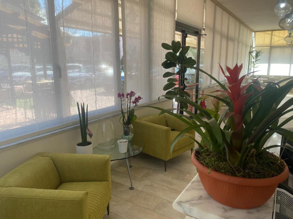 מרינה די מסה Hotel Virginia מראה חיצוני תמונה